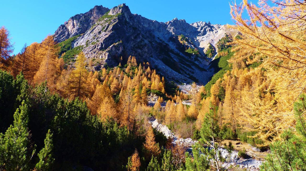 B&B Villa Stelvio Santa Maria Val Muestair ภายนอก รูปภาพ